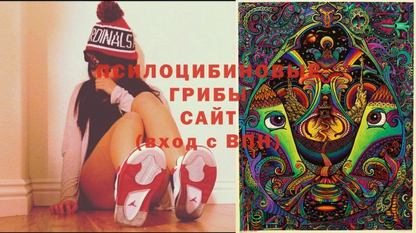 МДПВ Алзамай
