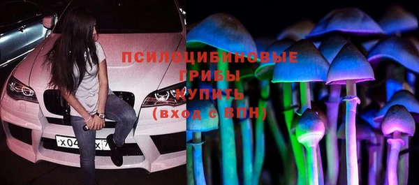 МДПВ Алзамай